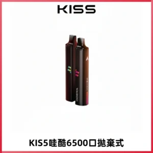 KIS5WAGOO哇酷6500口拋棄式 | 自由混搭雙口味 | 雙芯組合