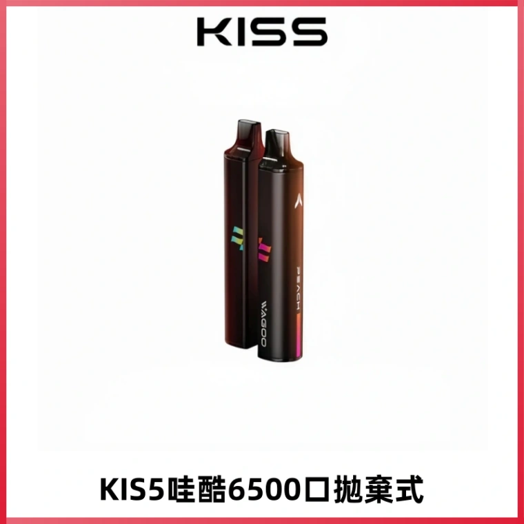 KIS5WAGOO哇酷6500口拋棄式 | 自由混搭雙口味 | 雙芯組合